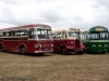 East Kent Kent Leyland Royal Tiger and Dennis Lancet ll with AEC Regal lV